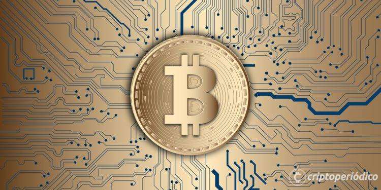 Proyecto de ley permitirá a empresas rusas realizar negociaciones internacionales con criptomonedas