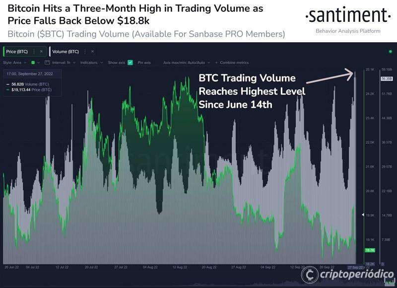 Máxima volatilidad: Bitcoin (BTC) se desploma y se lleva consigo a las principales altcoins