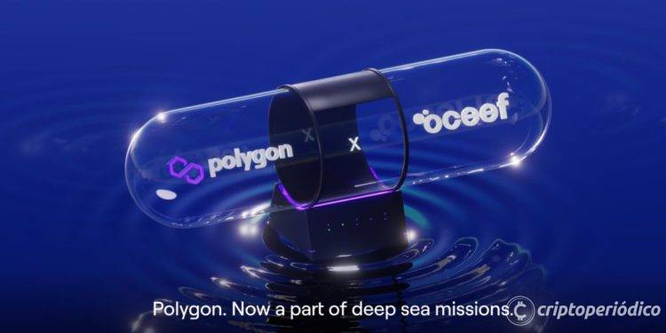 Polygon anuncia su asociación con una ONG para concientizar y promover la alfabetización de los océanos