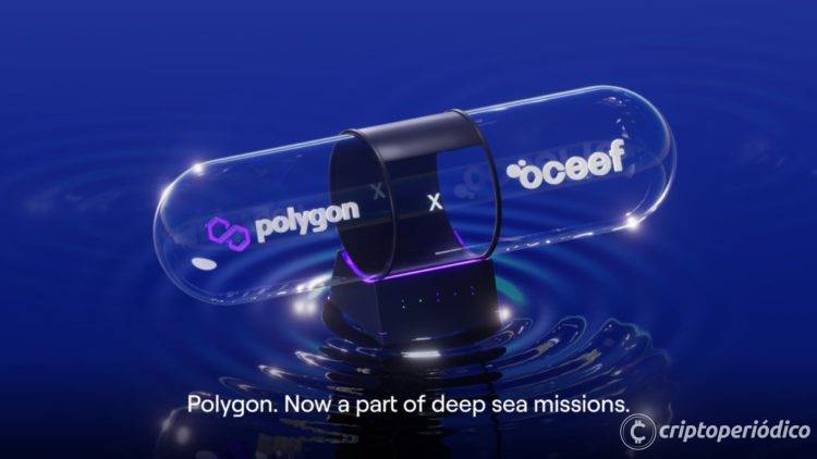 Polygon anuncia su asociación con una ONG para concientizar y promover la alfabetización de los océanos