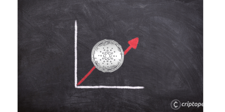 Proyecto Cardano y la inversión millonaria que emociona a los “alcistas”