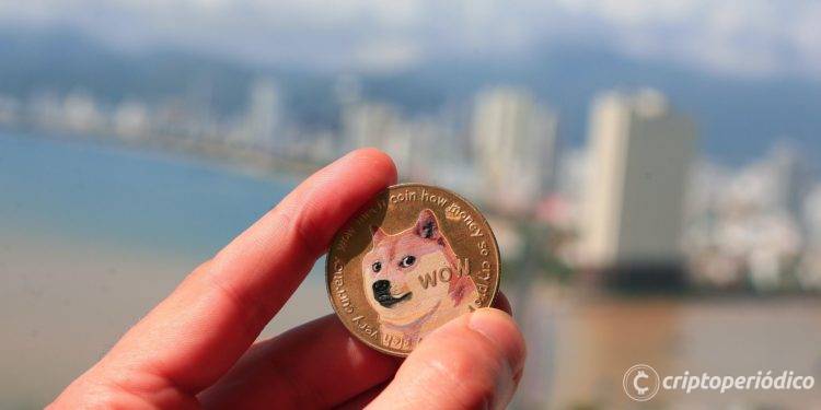 No importa el mercado bajista: DOGE aumenta su número de HOLDERS en octubre