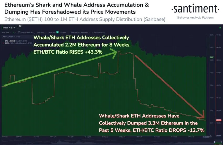 Las wallets de ballenas y tiburones de Ethereum disminuyen mientras el precio de ETH lucha