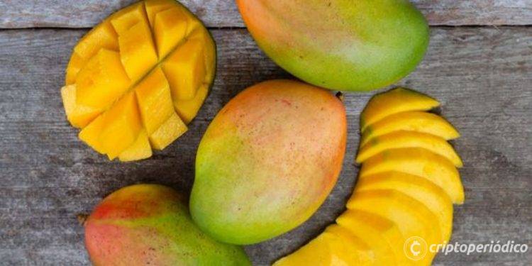 Otro ataque: Extraen USD $100 millones de plataforma de Finanzas Descentralizadas Mango, basada en Solana 1 Otro ataque: Extraen USD $100 millones de plataforma de Finanzas Descentralizadas Mango, basada en Solana