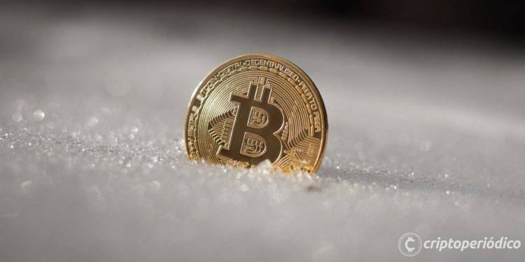 El crecimiento de la actividad de las carteras revela signos de descongelación del criptoinvierno