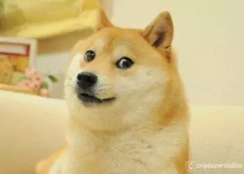 El perro detrás de la memecoin DOGE está gravemente enfermo