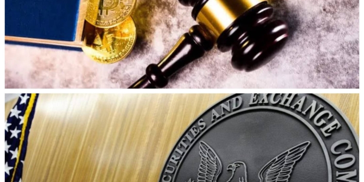Watchdog demanda a la SEC por el acceso a documentos FOIA sobre un posible conflicto de intereses en el sector de las criptomonedas