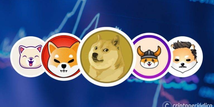 Los tokens basados en Dogecoin registran un máximo histórico de transacciones diarias