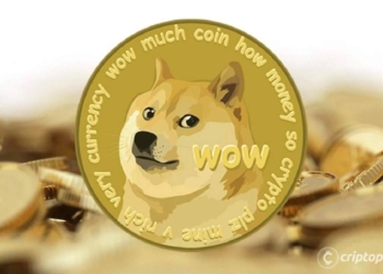 Las transacciones diarias de Dogecoin alcanzan un récord y superan a Bitcoin