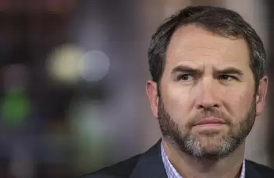 CEO de Ripple a la SEC: Demandar a las bolsas no le salvará de la "debacle FTX" 1 CEO de Ripple a la SEC: Demandar a las bolsas no le salvará de la «debacle FTX»