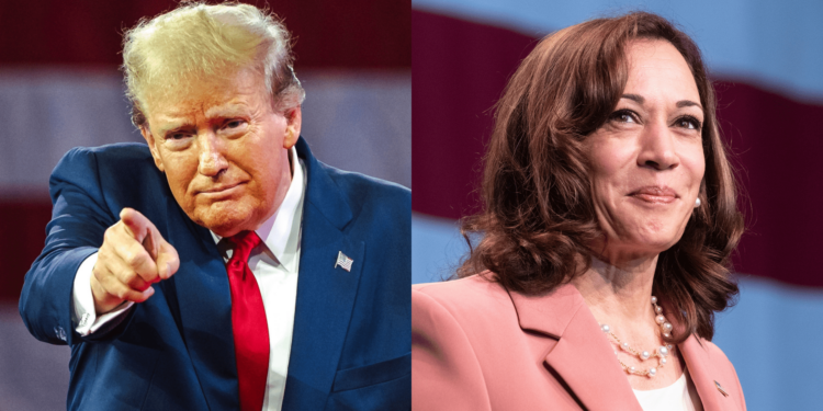 Memecoins de Trump y Harris experimentan aumentos de dos dígitos mientras EE.UU. se prepara para las elecciones