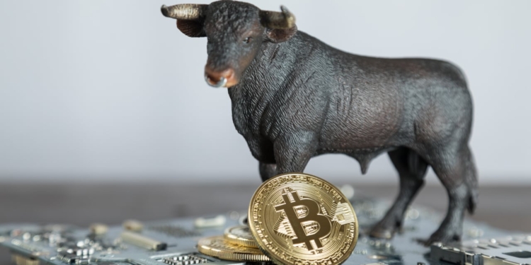 Victoria de Trump impulsa a Bitcoin a nuevos máximos, BTC supera los 90,000 dólares