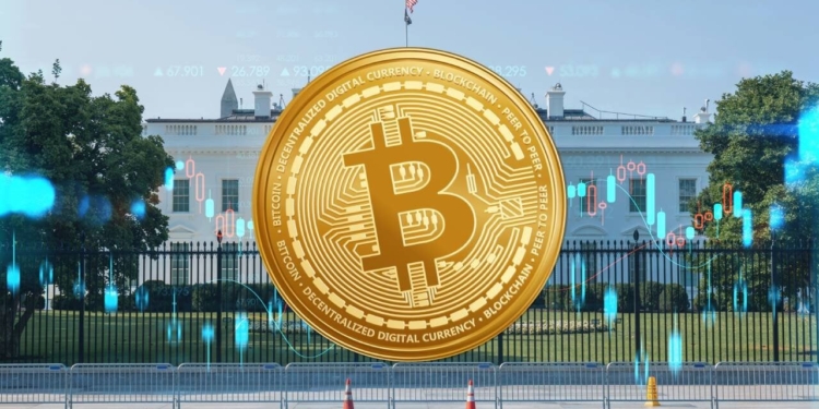 Volatilidad de Bitcoin aumenta debido a la incertidumbre de las elecciones en EE.UU.