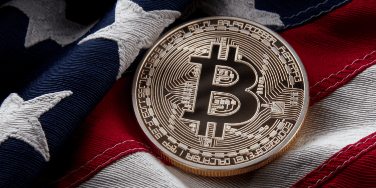 Bitcoin sube el día de las elecciones, pero estas altcoins lo superan