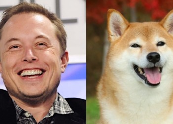 Dogecoin Sube Mientras Elon Musk Apoya a Donald Trump en las Elecciones de EEUU