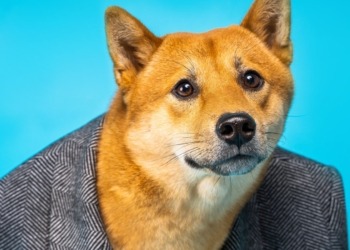 Interés Abierto en Futuros de Dogecoin Alcanza Récord Histórico—Traders Mantienen Cautela