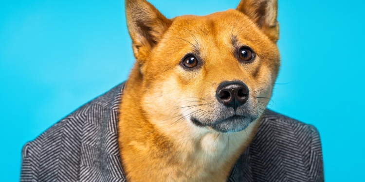 Interés abierto en futuros de Dogecoin alcanza récord histórico, aunque los traders muestran desconfianza