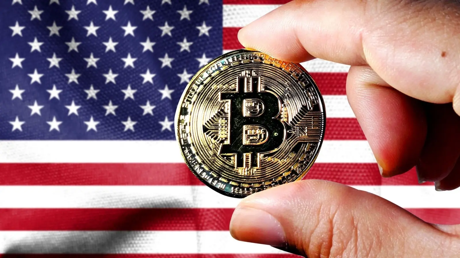 Bitcoin Registra Volúmenes Masivos Mientras los Inversores Evalúan la Llegada de Trump a la Casa Blanca