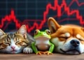 Dogecoin, Shiba Inu y Bonk Registran Grandes Pérdidas Tras Caída de Bitcoin