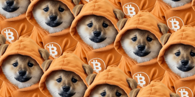Baby Doge y NEIRO experimentan un auge mientras la memecoin de Bitcoin Dog alcanza un máximo histórico 1 Baby Doge y NEIRO experimentan un auge mientras la memecoin de Bitcoin Dog alcanza un máximo histórico