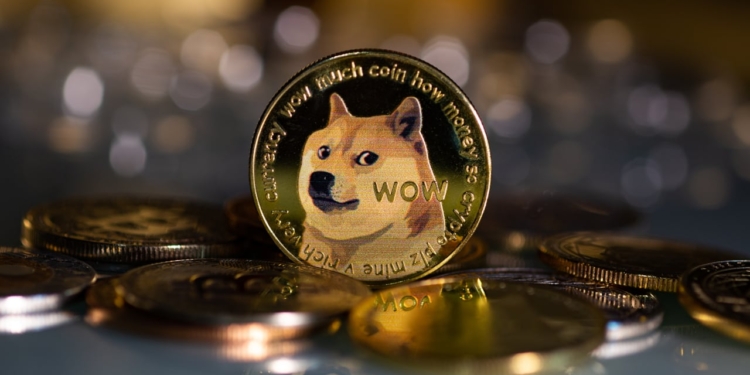 Rex Presents ETF Applications for Trump, Bonk, Dogecoin, and Bitcoin[5]
