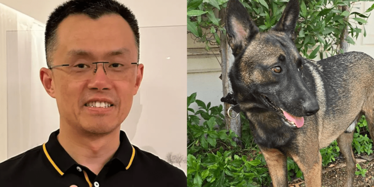Fundador de Binance revela el nombre de su perro y los traders de memecoins se enfervorizan 1 Fundador de Binance revela el nombre de su perro y los traders de memecoins se enfervorizan