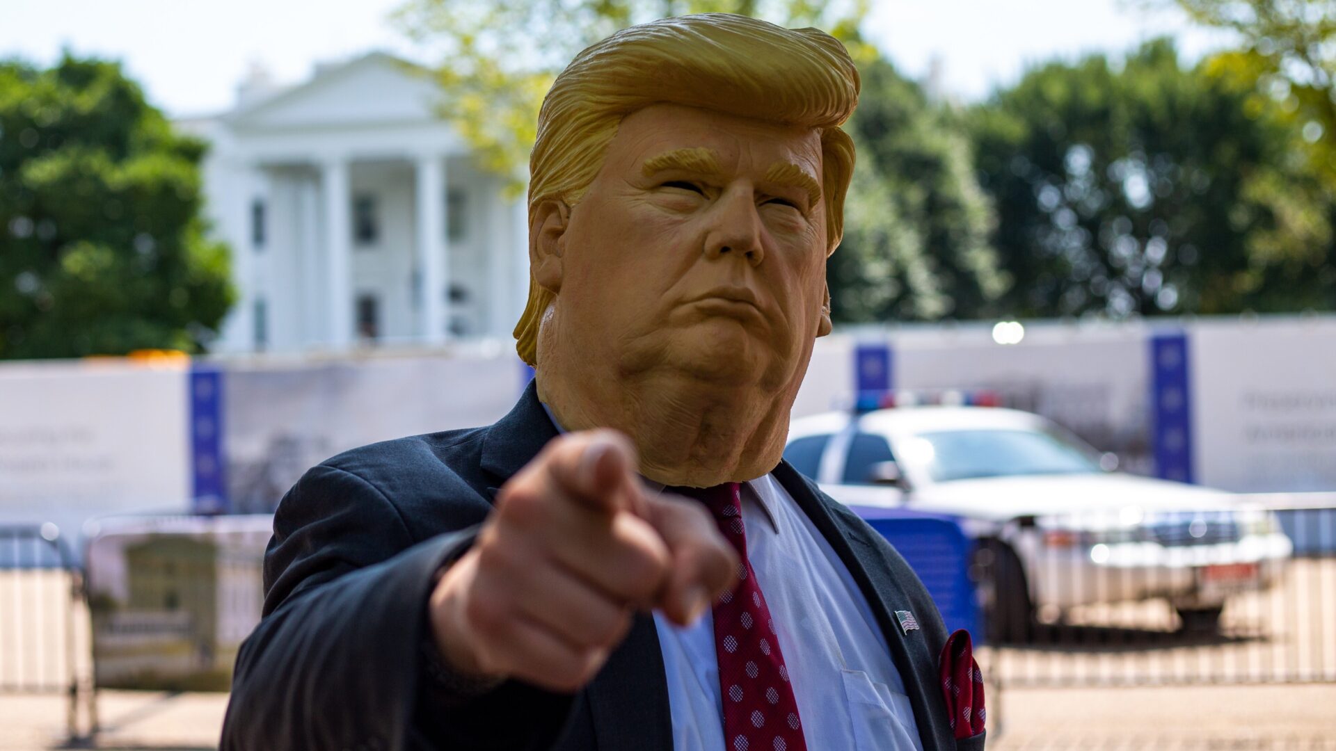 TRUMP, Dogecoin y Cardano en Apuros Mientras el Mercado Continúa Cayendo