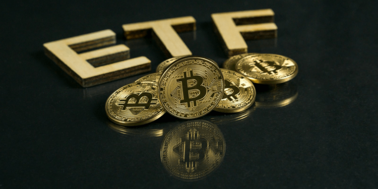 Inversores Apostan Fuerte: 500 Millones en ETFs de Bitcoin Durante la Resurrección del Mercado