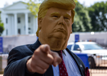 "Trump, Dogecoin y Cardano: Navegando en Mares Tormentosos mientras el Mercado se Desploma"