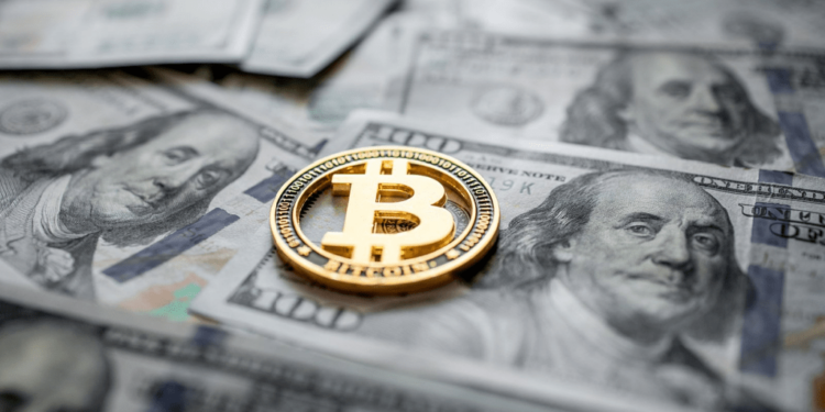 Las acciones de Cantor Equity se disparan un 134% tras el sorprendente anuncio de su fusión enfocada en Bitcoin. 1 Las acciones de Cantor Equity se disparan un 134% tras el sorprendente anuncio de su fusión enfocada en Bitcoin.