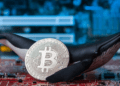 Una ballena de Bitcoin sorprende al mover $5 millones en BTC minados hace 15 años