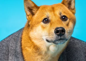 21Shares busca lanzar un innovador ETF de Dogecoin respaldado por la House of Doge