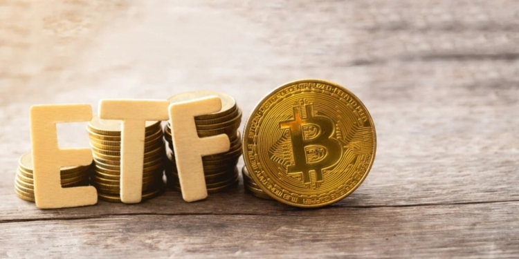El auge de los ETFs de Bitcoin: $381 millones en entradas diarias, el mejor registro desde enero 1 El auge de los ETFs de Bitcoin: $381 millones en entradas diarias, el mejor registro desde enero