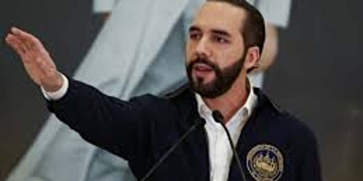 El alarmante dato que revela el futuro incierto de los proveedores de servicios de bitcoin en El Salvador: un 89% no está activo. 1 El alarmante dato que revela el futuro incierto de los proveedores de servicios de bitcoin en El Salvador: un 89% no está activo.