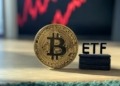 La pesadilla de los ETF de bitcoin: ¿Qué ha sucedido esta semana?
