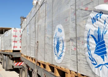 El Programa Mundial de Alimentos de EE. UU. abre la puerta a donaciones en Bitcoin y Dogecoin ante la falta de financiamiento.