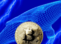 Movimientos millonarios: Ballenas de Bitcoin transfieren más de 300 millones en BTC.