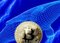 Movimientos millonarios: Ballenas de Bitcoin transfieren más de 300 millones en BTC.