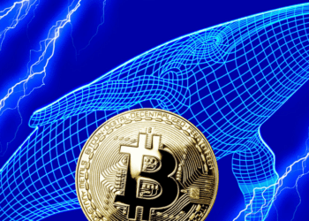 Movimientos millonarios: Ballenas de Bitcoin transfieren más de 300 millones en BTC.