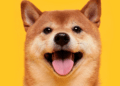 Dogecoin en la encrucijada: ¿Hacia dónde va y quién anticipó un Papa estadounidense?