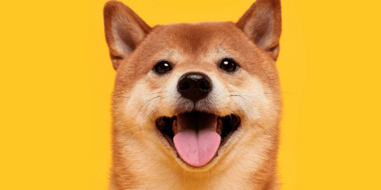 Dogecoin en la encrucijada: ¿Hacia dónde va y quién anticipó un Papa estadounidense?