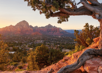 Arizona toma decisiones clave sobre criptomonedas: ¿Un avance contra el fraude en los ATMs?