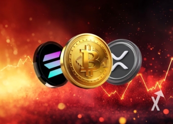 Lo que provocó el desplome de Bitcoin y las criptomonedas en el día de hoy