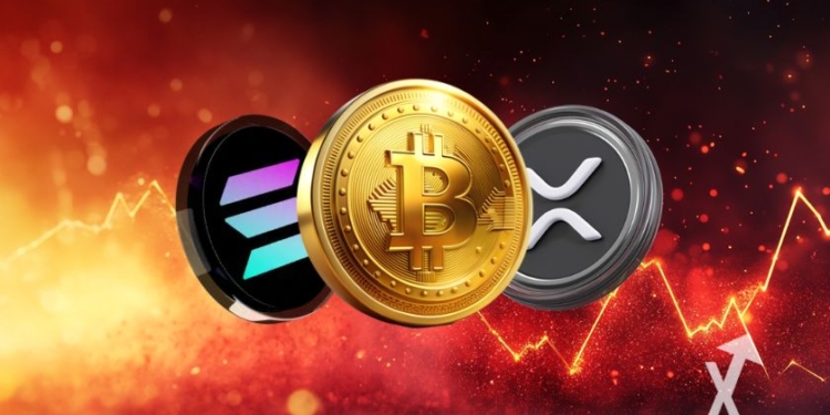 Lo que provocó el desplome de Bitcoin y las criptomonedas en el día de hoy