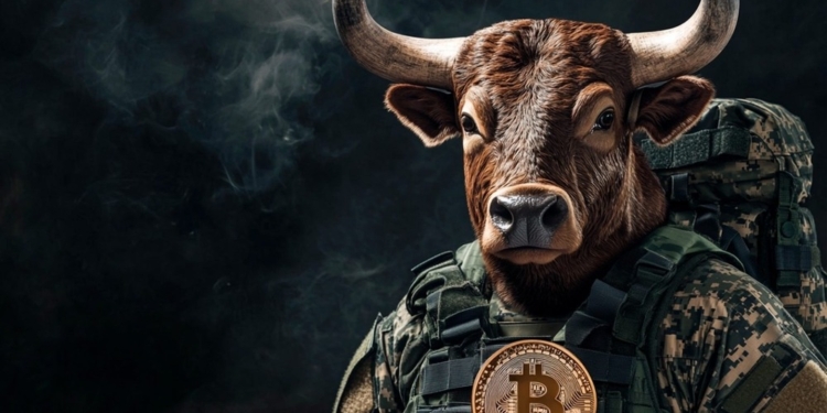 Bitcoin podría alcanzar los 108.000 USD: ¿se avecina la explosión del BTC Bull Token?