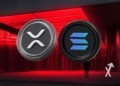 VanEck alerta sobre el futuro de XRP y Solana: ¿están en riesgo por fraudes monetarios?