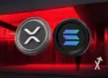 VanEck alerta sobre el futuro de XRP y Solana: ¿están en riesgo por fraudes monetarios?