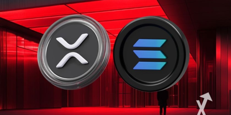 VanEck alerta sobre el futuro de XRP y Solana: ¿están en riesgo por fraudes monetarios?