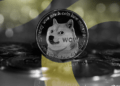 El inesperado acercamiento entre Musk y Trump impulsa a Dogecoin a nuevos máximos, mientras Ethereum sigue de cerca: un análisis revelador.