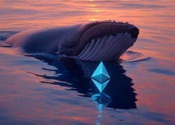 Las ballenas de Ethereum sorprenden al acumular 1,5 millones en solo 30 días